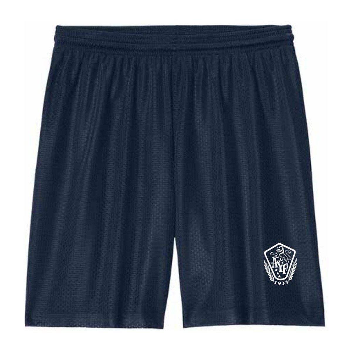 Unisex Mesh Shorts — AYF Olympics 2026 merch